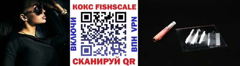 Купить закладки  Ковылкино  КОКАИН FishScale 