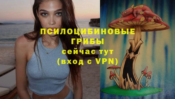 эйфоретик Майский