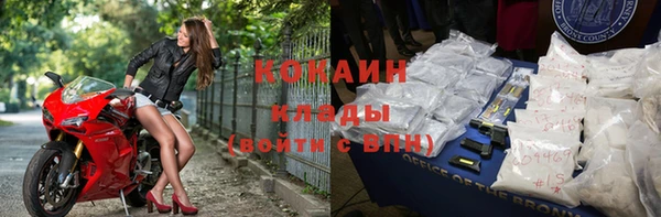 индика Медногорск