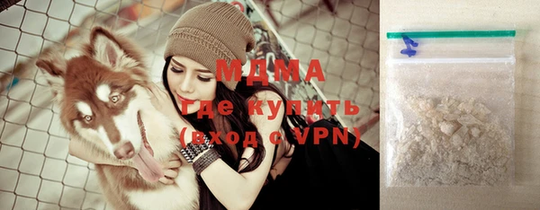 индика Медногорск