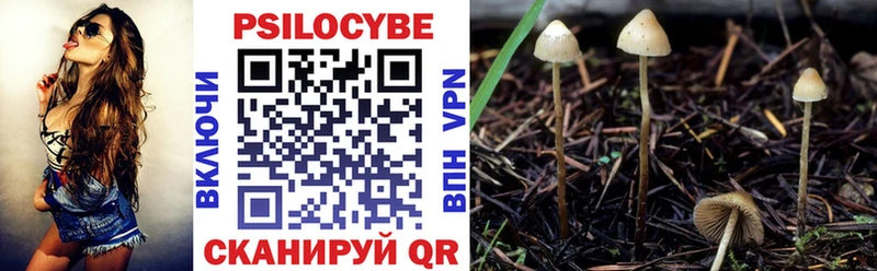 Купить закладки  Ковылкино  Псилоцибиновые грибы Psilocybe 